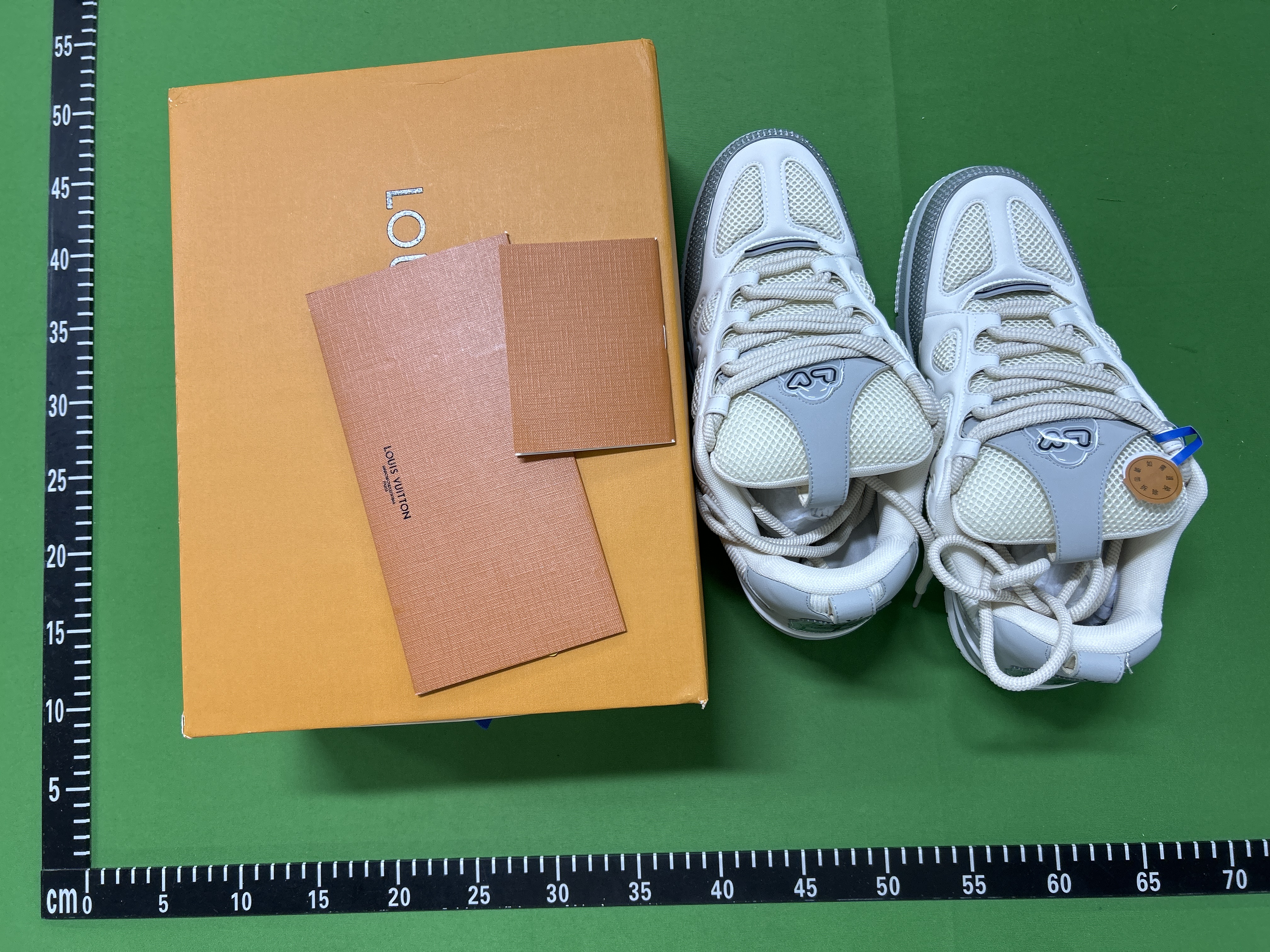 Louis Vuitton Skate (+20 Styles)